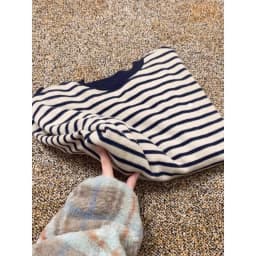 Spring Autumn Striped Crew Neck Long Sleeve Sweatshirt Women's Loose Casual