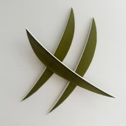 50 Pcs 5" IBOUNFOX Turkey Arrow Feather Shuttle Shape Archery Feather Fletching 5 Inch for Arrow Accessories -Right Wing