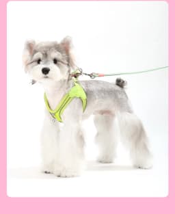 Eye Shape Dog Harness and Leash Set for Small Dogs,Cute Fashion Puppy Walking Vest, Reflective Adjustable Pet Harness for Daily