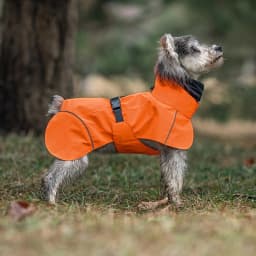 Pet Dog Waterproof Raincoat Outdoor Small Medium Size Dog Universal Teddy Bichon Puppy Clothes Pet Apparel Casual Raincoat