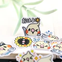 Stickers 40pcs Parrot Pack Sticker Hand Account Waterproof Net Red Cute Reward Children Small Decoration Painting Set