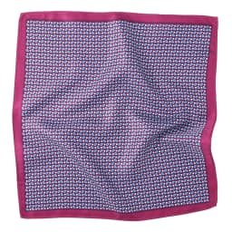 Tailor Smith Men's Classic Red Khaki Print Dot Handkerchiefs Paisley Floral Pockets Square Wedding Hankies Business Gift for Him