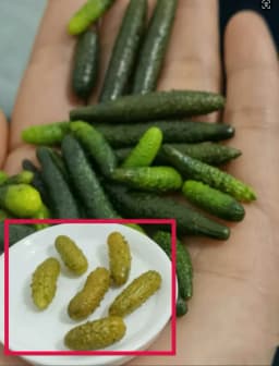 DollHouse Kitchen Scene Miniature Vegetable Fruit Clay Food Play Simulation Mini Potato Accessories Food Supermarket Decorations