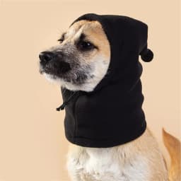Fleece High Neck Dog Hat Winter Pet Accessories for Dogs Cats Windproof Warm Leopard Puppy Headgear Gorro Para Perro