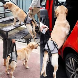 Adjustable Dog Lift Sling Hind Leg Carry Strap Portable Walking Assist Support Belt for Senior Injured Dogs