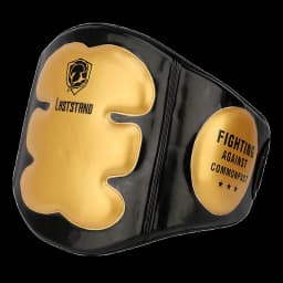 Wearable Waist Target,Muay Thai Kickboxing Training,Reinforced Padding 70MM Thick,Professional Grade Boxing Gloves