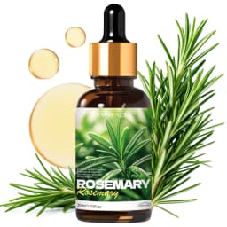 36 Type 30ml Fragrance Oils Long Lasting Scents For Humidifier/Diffusers Holiday Gifts For Friends