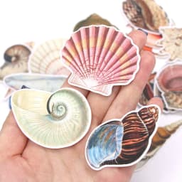 Vintage Conch Shell Sticker Label Scrapbooking Marine Life Stationery Stickers For Children Decorative Diary Album