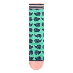 Fashion Colorful Spring Autumn Stocking Women's Socks Plant Hedgehog Slothsi Cotton Socks Personality Straight Trendy Socks