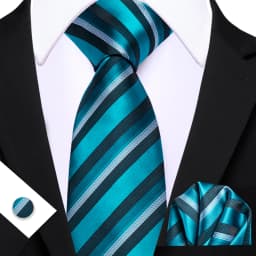 Barry.Wang Jacquard Water Duck Blue Men's Tie With Pocket Square Cufflinks Set Exquisiet Necktie For Male Wedding Business