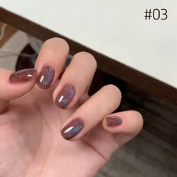 10ML 1-10PCS Winter New Style Hot Selling Black Nails Brown Nails Glass Bead Magnet Cat Eye Nail Polish Nail Set Nail Supplies
