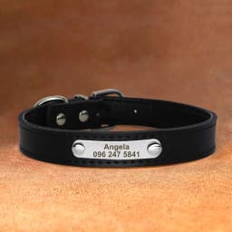 Personalized Leather Dog Cat Collar Adjustable Engraved Pet Kitten Puppy ID Name Tag Accessories Collars For Small Medium Dogs