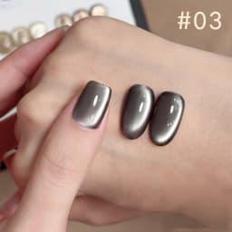 10ML 1-10PCS Winter New Style Hot Selling Black Nails Brown Nails Glass Bead Magnet Cat Eye Nail Polish Nail Set Nail Supplies