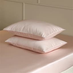 100% Mulberry Silk Pillow Case 2pcs Natural Real Silk Protect Hair Skin Pillowcase Customized Size Bedding Pillow Cases Cover