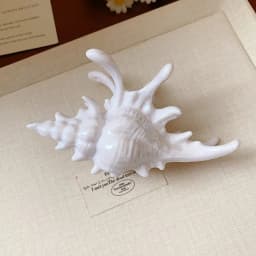 New Marine Conch Large Hair Claw Clips Crab Barrettes Women Girls Ponytail Hair Clamps Hairpins Hair Accessories Summer Fashion