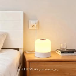 LED Touch Switch Night Lamp Remote Control Rechargeable Three Colors Dimmable Light Timing Bedside Sleeping Reading Table Lights