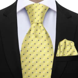 Elegant Ties For Men Gift Fashion Men Tie Set Striped Dot Luxury Necktie Handchief 2 Pcs Business Wedding Suit Accessories