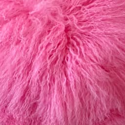 New Brand Women's Real Mongolia Sheep Fur Jacket With Collar Winter Coat Female fur coat