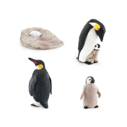 Realistic Plastic Growth Cycle Penguin Figurines Varieties of Penguins Polar Arctic Animal Figures Easter Eggs Cake Toppers Gift