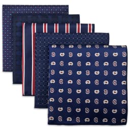 5 PCS Luxury Mens Pocket Square Set Handkerchief Assorted Paisley Floral Print Striped Hanky Suit Gentlemen Wedding Gift Vintage