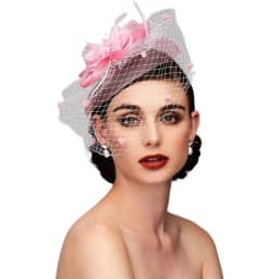 Birdcage Bride Veil Wedding Hair Accessories Flowers Feather Mesh Veil Face Cover Multi Colors Korea Japan Black White