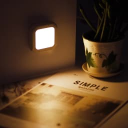 Night Light With EU/US Plug Light Control LED Night Lamp Wall Lights for Home Aisle WC Bedside Lamp Baby Room Bedroom Corridor