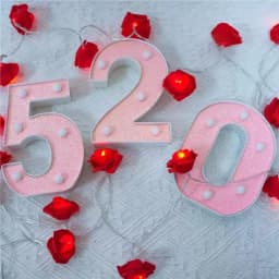 1PC 16cm Pink Glitter LED Letter&Number Lights Battery Powered Decorative Lights For Wedding,Proposal,Birthday,Party,Photo Props