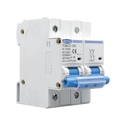 TOMZN 2P 1000V DC MCB TOMZN 80A 100A 125A Circuit Breaker PV System C Curve Battery Main Switch