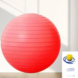 Yoga Ball 75cm Explosion-proof Gym Equipment for Pilates Bodybuilding Balance Training Rehabilitation Exercise Add-ons