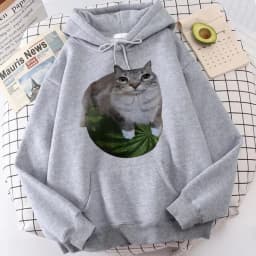 Cute Watermelon Cat Silly Cat Meme Printed Hoodies 90s Casual Sweatshirts Graphic Y2k Hooded Women's Gothic Streetwear Clothes