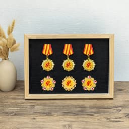 Hollow Shadow Box Frame for Badges Medals Brooches Keepsakes Wall Mountable Display Case with Storage Stylish
