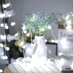 LED String Lights USB/Battery Power Globe Bulbs LED Ball Garland Lights Garden Christmas Camping Tent Canopy Decor