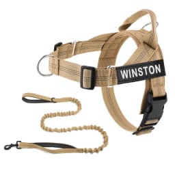 Custom Name No Pull Dog Harness Elastic Buffer Leash Set Adjustable Reflective Nylon Walking Lead for Small Medium Large Dogs