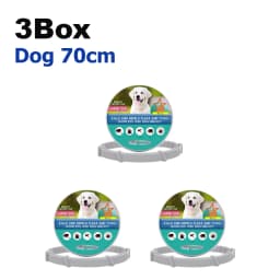 Flea Collar 8 Months Protection Pet Anti Flea Tick Neck Collar Natural Flea and Tick Prevention Collar for Dogs and Cats