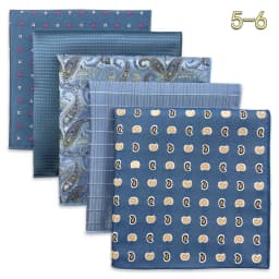 5 PCS Mens Pocket Square Set Assorted Handkerchief Multi Styles Paisley Floral Suit Large 32cm Hanky Business Accessories