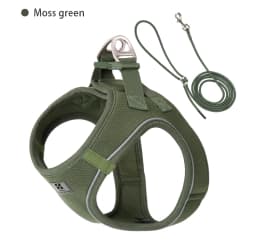 SMALL COMBINATION Small Dog Harness Leash Set Soft Reflective for Puppy Cat Harness Pet Vest Chihuaahua Sausage Outdoor Walking
