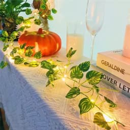 2/5/10M Watermelon Leaf String Light Leaf Wall Leaves for Room Garden Office Wedding Wall Decortion Battery Powered