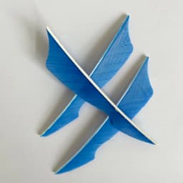 100 Pcs IBOUNFOX 4 Inch Natural Turkey Arrow Feathers Sting Shape Archery Fletches Feather Arrow Feltching Right Wing