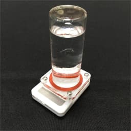Ant grape S water feeding area for ant farm acrylic moisture with feeding area, insect ant  villa pet advanced mania farm ants