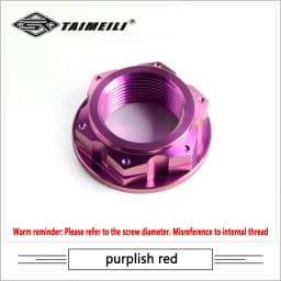 TAIMEILI Titanium Alloy Rear Axle Nut M22/M24 p1.5 Fit BMW S1000RR SYM TMAX560 Motorcycle Modified Decorative Nut 1Pcs