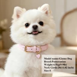 Personalized PU Leather Dog Collar Free Custom Dog Name Collars Pet Puppy Necklace With Cute Tag Soft For Small Medium Dogs Cats