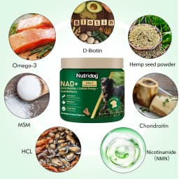 NUTRIDOG Senior Dog Vitamins Chews NAD Joint Mobility Cellular Energy Coat Brilliance Support for 3-In-1 Dogs Soft Chews