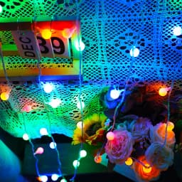 5V 1.5m 3m 6m10m Bubble Ball LED String Fairy Light USB/Battery Powered Warm White/RGB Wedding Christmas Party Home Decoration