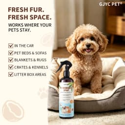 500ml Natural Pet Deodorizing Spray Coconut Scent Long Lasting Pet Safe Odor Eliminator Refreshing for Dogs Cats Daily Grooming