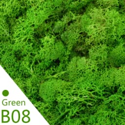 40g Simulation Artificial Moss Green Eternal Life Moss Grass Fake Plant For Home Wall Decor Garden Micro Landscape Material Gift