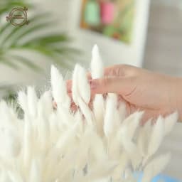 60pcs Dried Flowers Rabbit Bunny Tails Grass Mix Bouquets Wedding Party Decoration Natural Fluffy Lagurus Ovatus Boho Home Decor