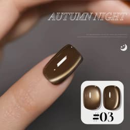 10ML 1-10PCS Winter New Style Hot Selling Black Nails Brown Nails Glass Bead Magnet Cat Eye Nail Polish Nail Set Nail Supplies