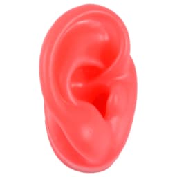 1PC Flexible Silicone Ear Model for Piercing Left and Right Human Ear Molds Jewelry With Exhibits Props