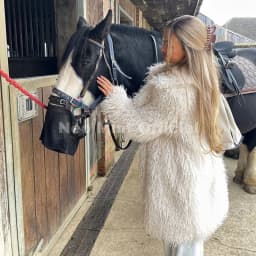 Neo Mint Winter 2025 Trend Burgundy Obsession Long Faux Mongolia Sheep Fur Jacket Coat Women Chic Lapel Collar Fluffy Overcoat