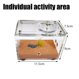 Yellow Soil Ant Farm with External Water Tower and Garbage Area Queen Breeding Area Ant Nest Anthill Castle Ant House Insect Box